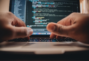 Web Design & Development
